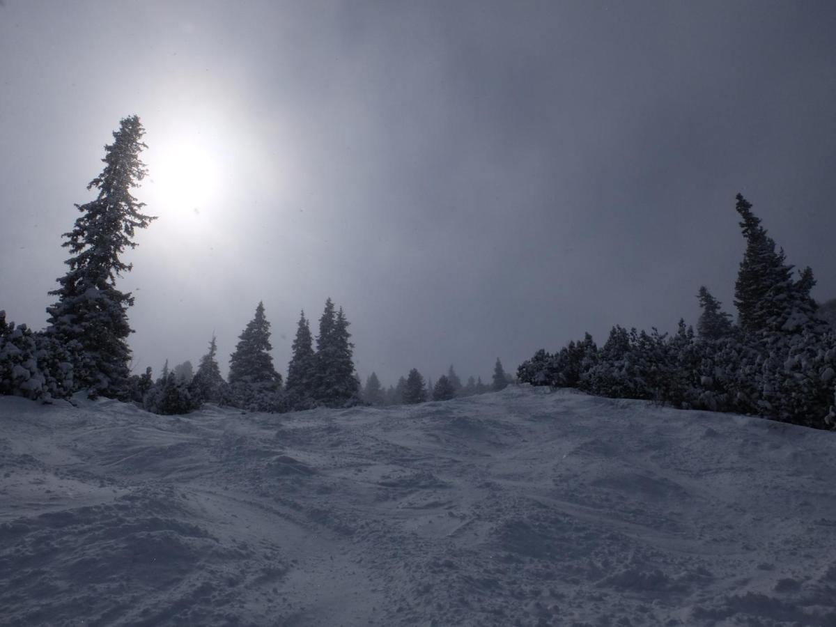 Borovets Apartments, Iglika 2 Buitenkant foto