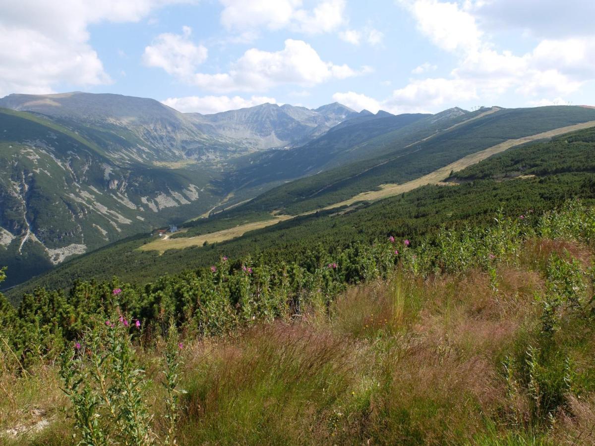 Borovets Apartments, Iglika 2 Buitenkant foto